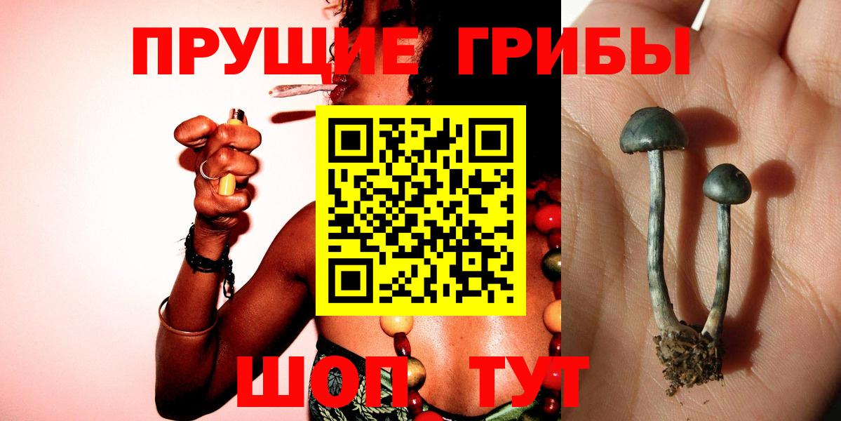 Южноуральск  Галлюциногенные грибы GOLDEN TEACHER  Вход с VPN 